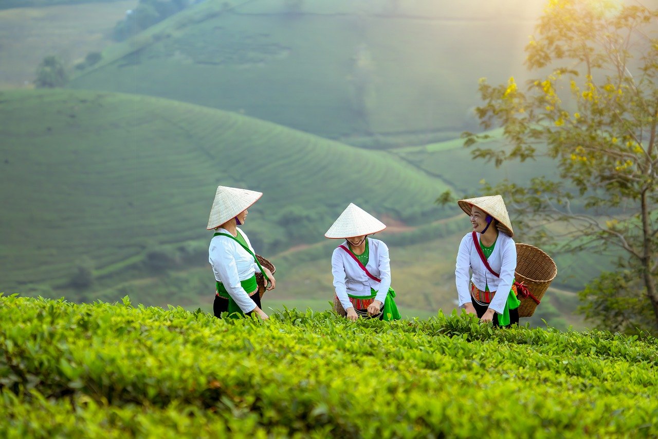 The Art of Storytelling in Branding: Crafting Narratives That Resonate