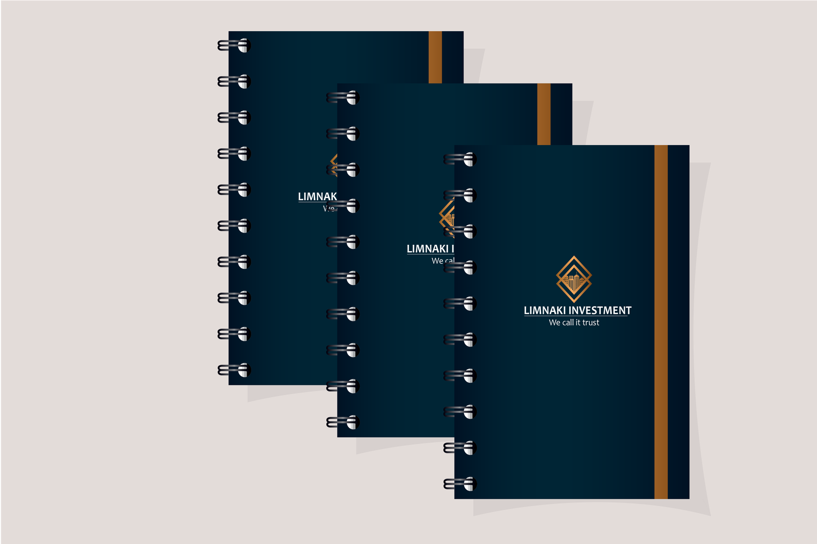 LIMNAKI INVESTMENT - BRANDING